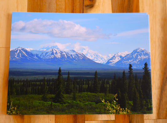 Denali Highway Postcard