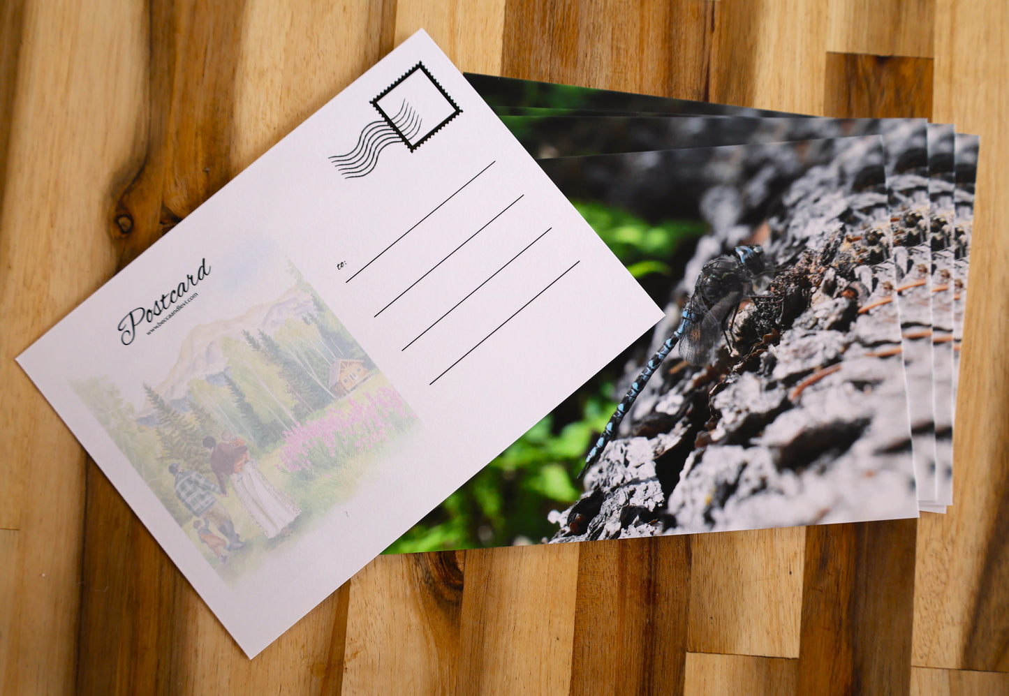 Dragonfly Postcard